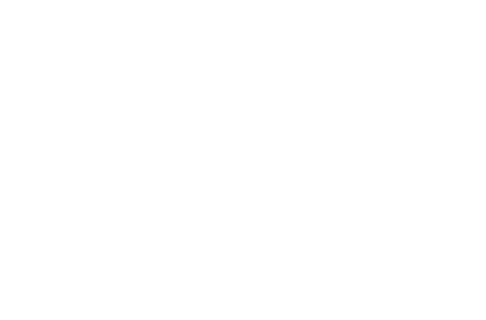 сколу нет | скола нет